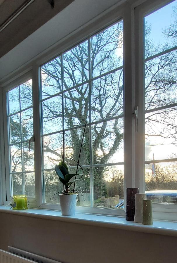 Ha'Penny Acre Bed & Breakfast Sherfield English Luaran gambar